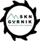 logo_gornik.png